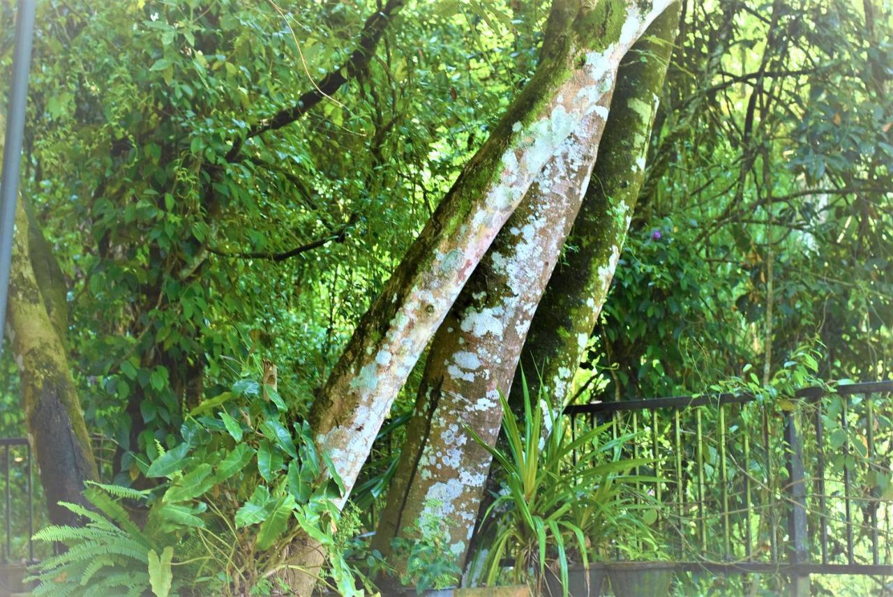 Samadhi Nature Resort Ella Exterior photo