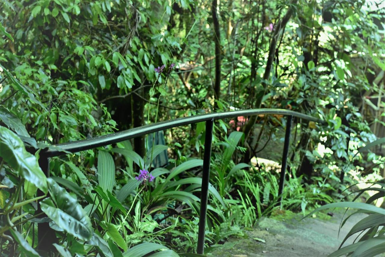 Samadhi Nature Resort Ella Exterior photo