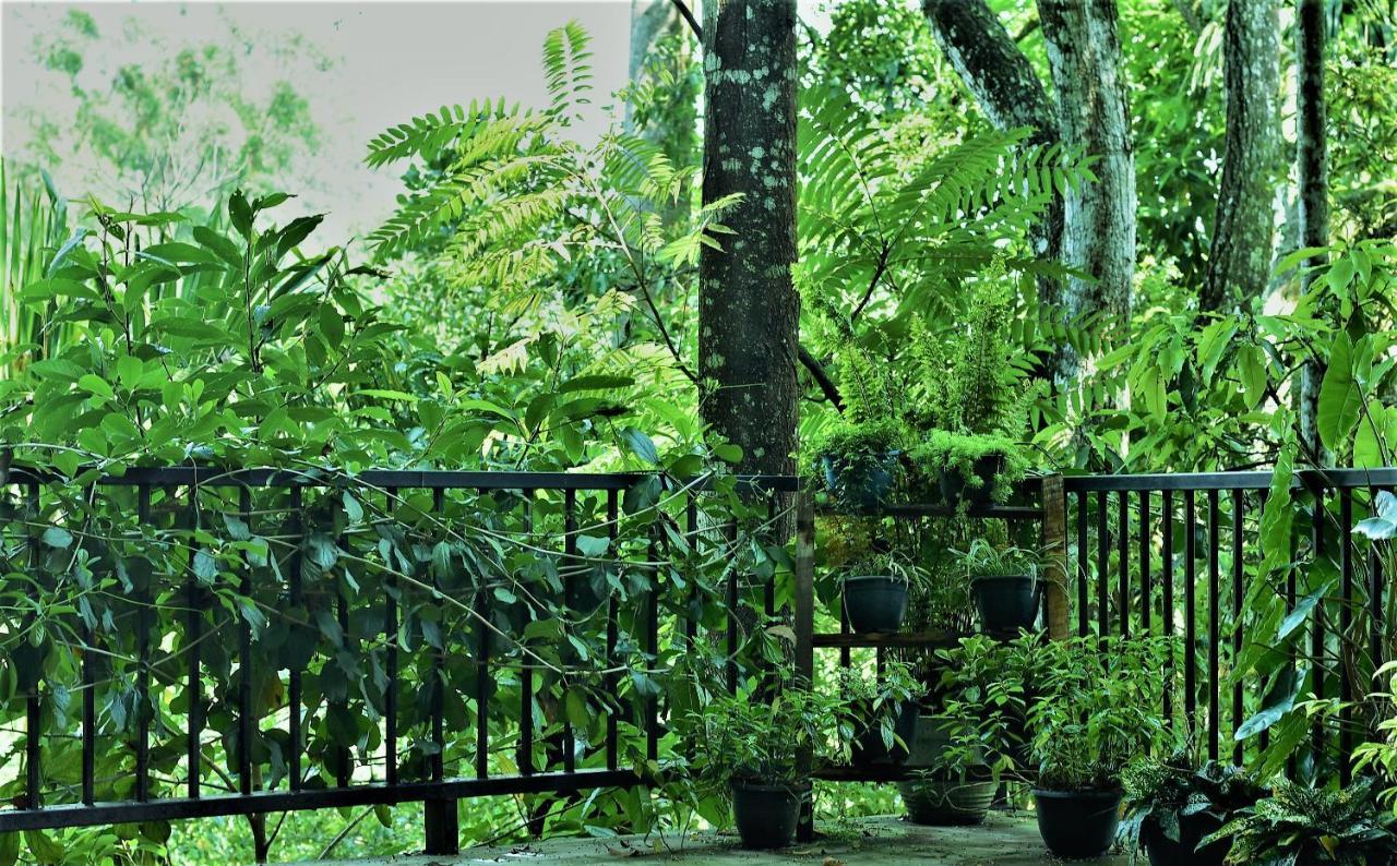 Samadhi Nature Resort Ella Exterior photo