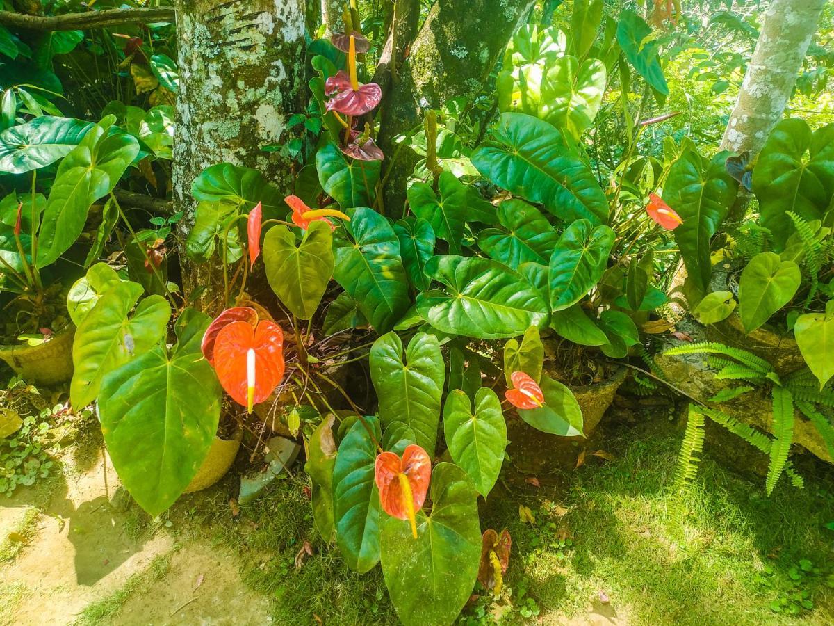 Samadhi Nature Resort Ella Exterior photo