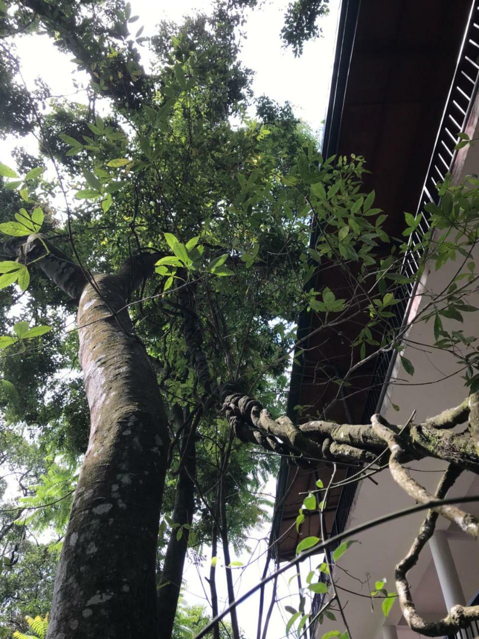 Samadhi Nature Resort Ella Exterior photo